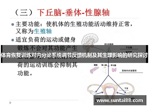 体育恢复训练对内分泌系统调节反馈机制及其生理影响的研究探讨