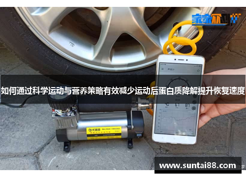 如何通过科学运动与营养策略有效减少运动后蛋白质降解提升恢复速度