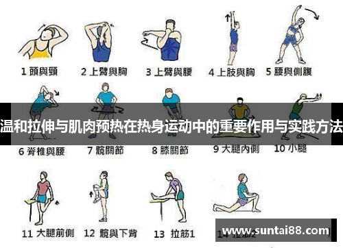 温和拉伸与肌肉预热在热身运动中的重要作用与实践方法