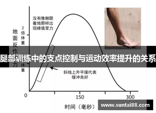 腿部训练中的支点控制与运动效率提升的关系